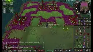 osrs unoptimal solo cox 78k pts/h