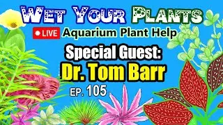 Special Guest Dr. Tom Barr, Debunking Aquarium Plant Myths (Wet Your Plants 105)
