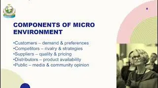 Business Environment & Micro and Macro Environment