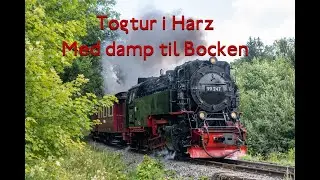 Togtur i Harzen: K&oslash;rsel med damp fra Wernigerode til Brocken
