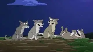 MRI - WOLF