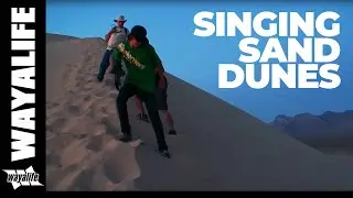 Kelso Dunes Singing Sand at Mojave National Preserve