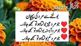 Best Motivational Quotes In Urdu | Quotes About Husband Wife Relationship | Bano Qudsia&rsquo;s Reflection