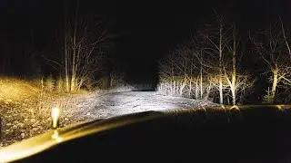 Diode Dynamic SS3 Ditch + Fog + Stealth 30
