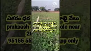 Agriculture #karnatakaagriculturelandforsale #landforsale #property #commercial #farmlandforsale #AP