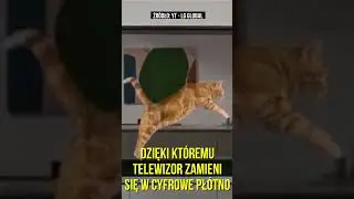 Przezroczysty telewizor już w sprzedaży. CENA POWALA