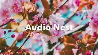 Visions By LAKEY INSPIRED /No Copyright Music