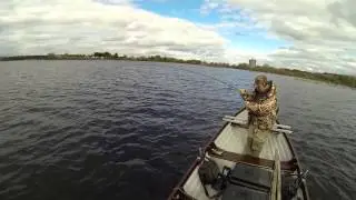 Buzzer Fishing on Lough Corrib - All Good Fish