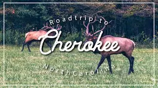 Road trip to Cherokee - Things to do in Western North Carolina - Asheville, Dandridge, Pigeon Forge.