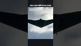Turkey's Insane 