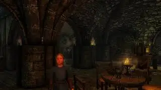Skyrim - The Winking Skeever Ambiance (bard singing, fireplace, footsteps)