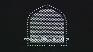 Rang Mahal in Red Fort, old baoli or step well and fortifications and palace within Lal Quila Delhi