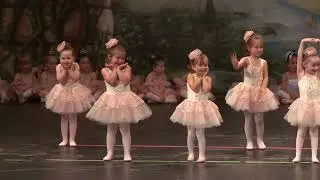 2025 Tap Recital
