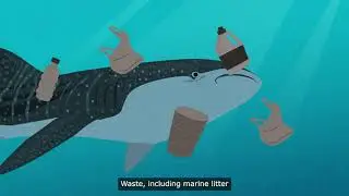 How can a circular economy save the planet?