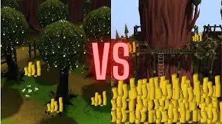 Секвойи или магические деревья: что лучше для заработка на OSRS?