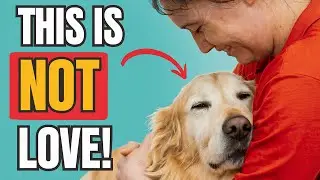 When Dogs Lean On You, It's NOT What You Think!
