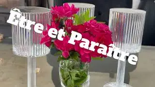 HPI/HPE. Neuroatypie. : 6/. Etre ou Para&icirc;tre 