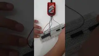 pic kit 2 ile 16f877A, 16F628A, 16F84A  programlama devre bağlantısı