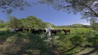 Sustainable Rural Project 3 - Family achieved sustainable dairy production and recovered pastures