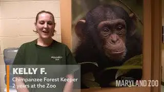 National Zoo Keeper Week - Training