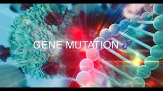 How is cancer caused by gene mutation? (Breakthrough Junior Challenge 2022)