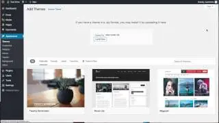 SEO Crawler - Theme Installation