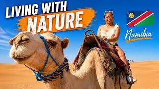 Wildlife in Namibia 🇳🇦 | Wild animal encounters in Namibia | Best animal encounters | nature