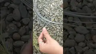 HOW TO MAKE A HANGING AIR PLANT / TILLANDSIA USING WIRE #SHORTS