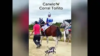 Canelo 🆚Manchado🆚Maria Elena📍Centro Hipico Renacer🏇22/12/2024