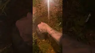 &ldquo;Eu nunca ando sozinho carrego a for&ccedil;a do Exu que &eacute; meu amigo&hellip;.
