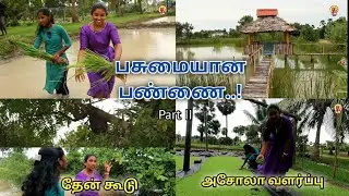 பசுமை நிறைந்த அடம்பன் பண்ணை / Organic farm Adampan @jjhvlog1047  #mannar #srilanka