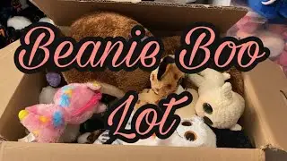 Huge Beanie Boo Lot Haul