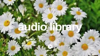 Ambush - The Descent - Kevin MacLeod | No Copyright Music YouTube - Free Audio Library