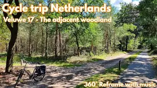Dutch Veluwe Road Trip 17 - The adjacent woodland (Reframe - Music)