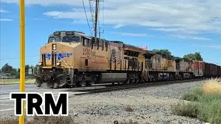 UP Tier 4 GEVO leads a manifest