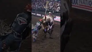 Nothing beats a PBR holiday 😩