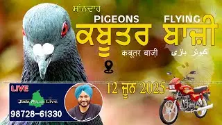 🔴 LIVE  ਕਬੂਤਰਬਾਜ਼ੀ🔴Part-2 || 12 June  2025 FLYING COMPITION .کبوتر کا کھیل