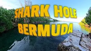 SHARK HOLE BERMUDA SEPT 19 2025