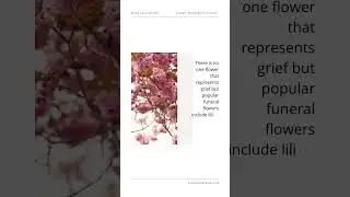 Pay respects with Funeral Flowers #grief #mourning #family #lovedones #loss #importance