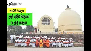 114 Dambadiwa Tour | දඹදිව සුවපහසු චාරිකා | Dambadiwa Pilgrimage | 2024