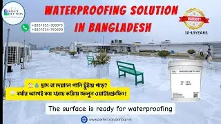Waterproofing Solution in Bangladesh | Roof, Wall & Basement Protection by Perfect Solution