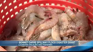 LDWF announces grant for commercial fishermen affected by 2019 flood