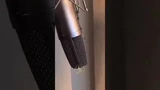 Have you ever heard a mosquito rap? 🤯 #mosquito #viralshort #gangstasparadise