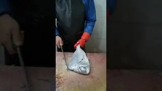 Cleaning Porgy Fish Like a Pro &ndash; Market Style
