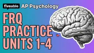 AP Psychology CRAM &ndash; FRQ Practice Units 1-4