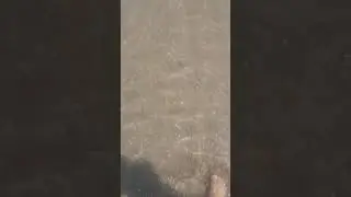 mare di viserba luglio 2019