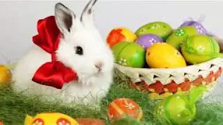 Happy Easter 2018