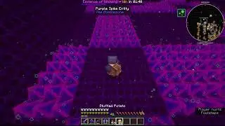 The Bumblezone - Purple (knowledge) Minigame