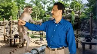 Uk-Monkey-3