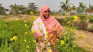 ভাই নাই শাক আনতে পারলাম না এবং ডিম রুটি খেলাম।। Rupia Begum Blog... 